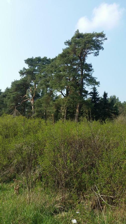 Luett Verbliev Malchow  Buitenkant foto